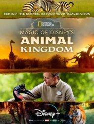 Au cœur de Disney’s Animal Kingdom