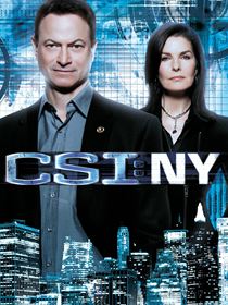 Les Experts : Manhattan SAISON 8