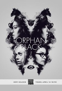 Orphan Black SAISON 4